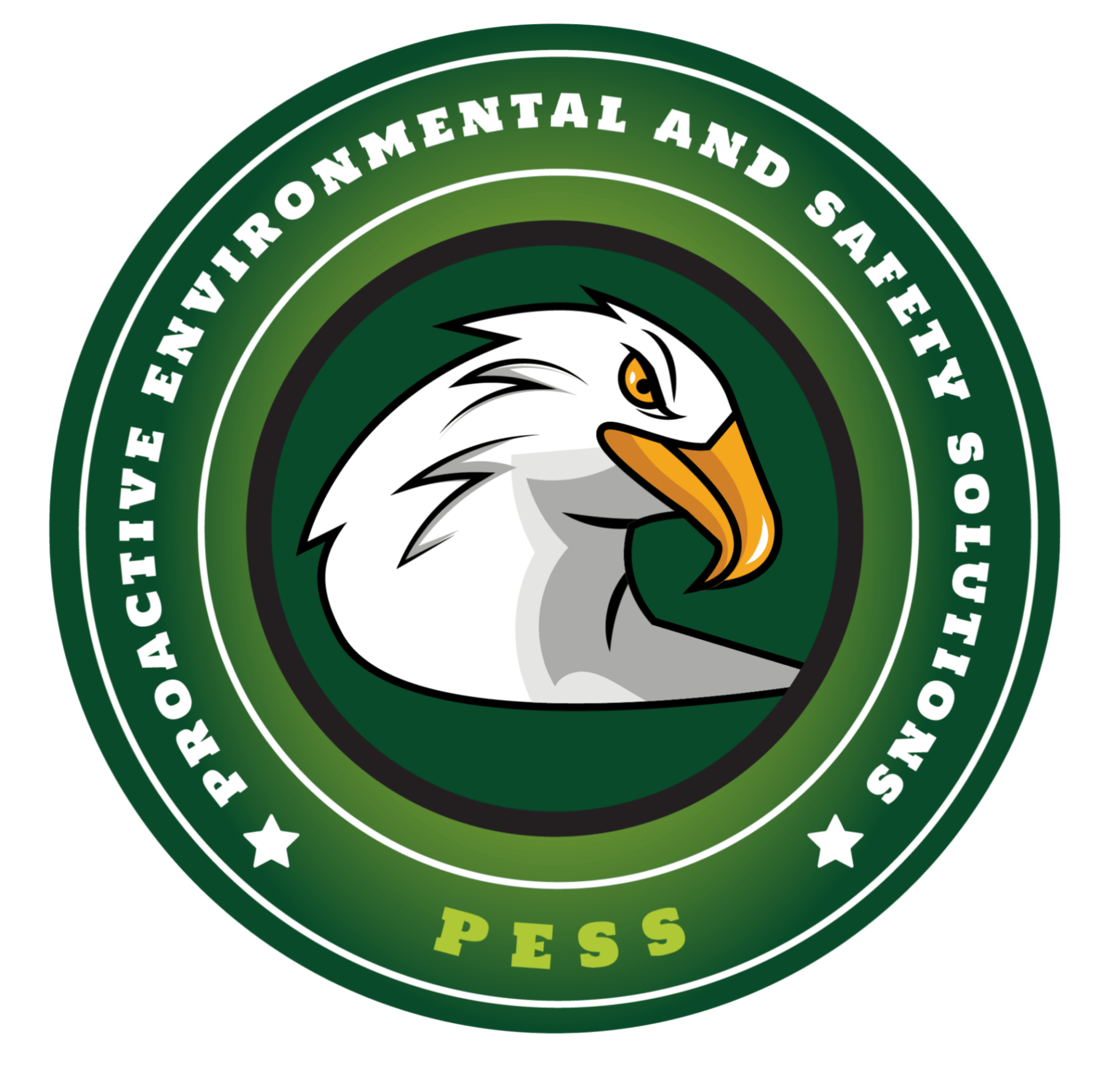 IOSH In Hyderabad PESS professional HSE training in Hyderabad