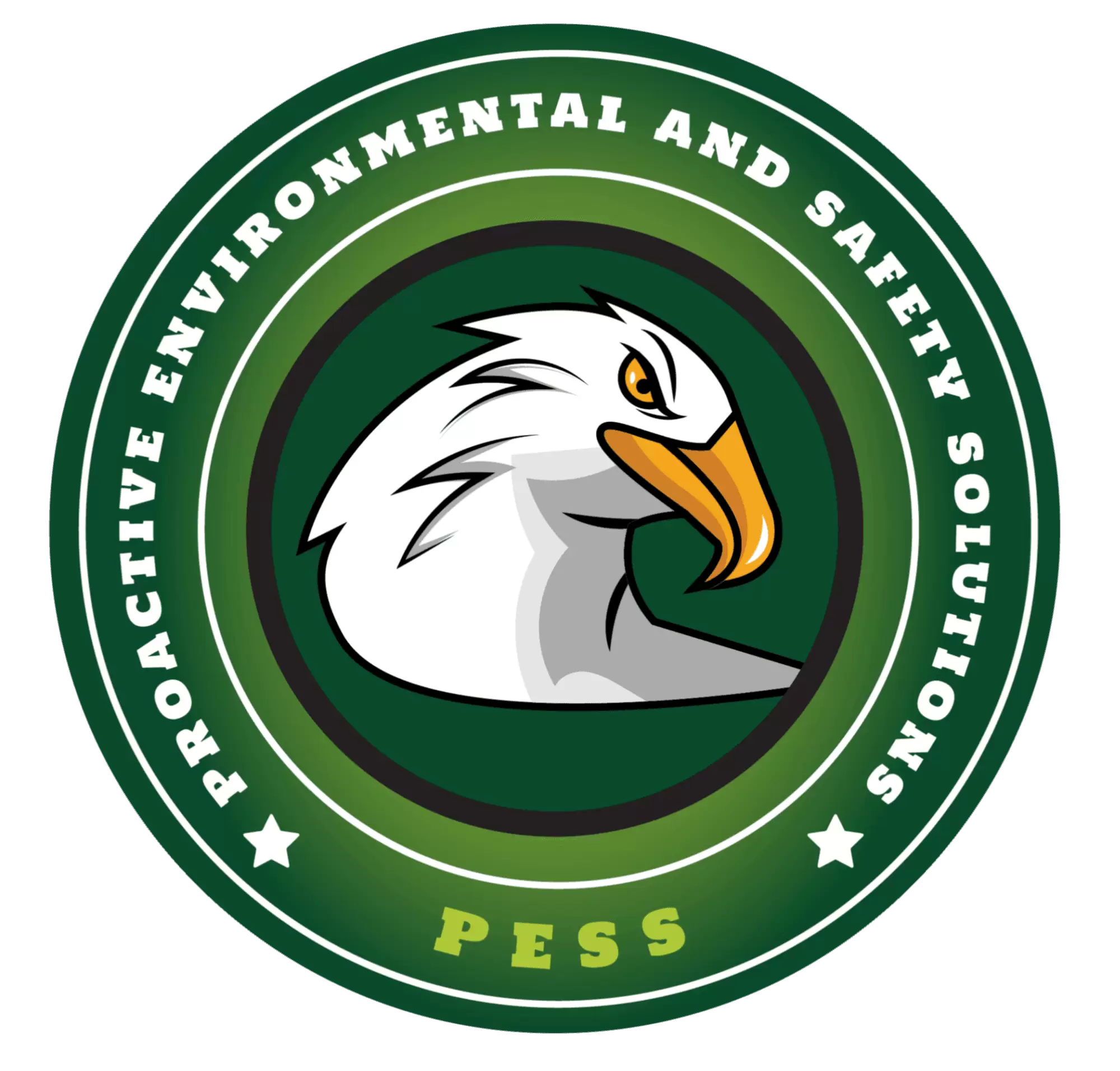PESS — Proactive Environmental and Safety Solutions logo